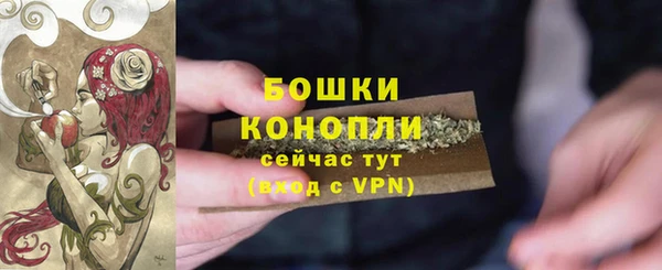 амф Аркадак