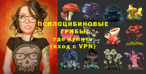 прущий лед Арсеньев