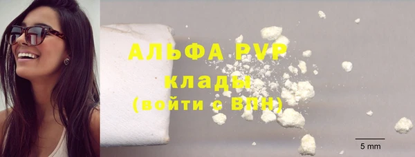 индика Армянск