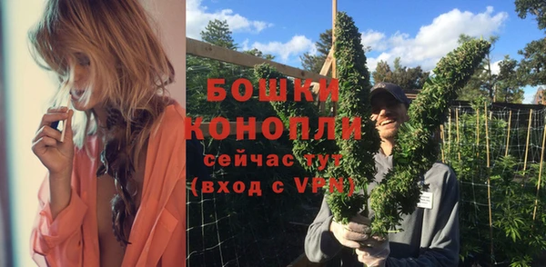 спайс Ладушкин