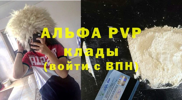 амф Аркадак