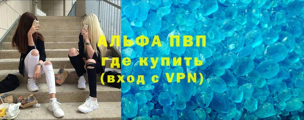 индика Армянск