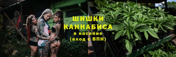 индика Армянск