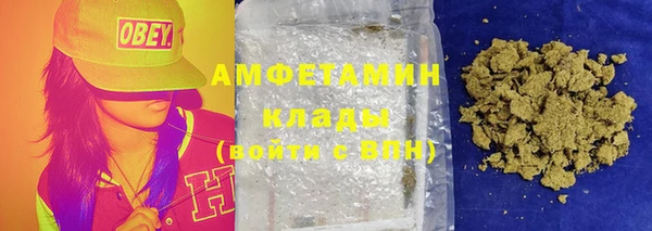 индика Армянск