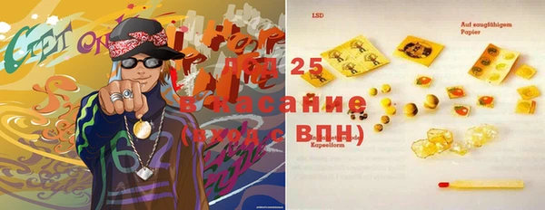 индика Армянск